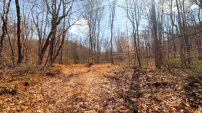 Ohio hunting acreage with secluded terrain and cover