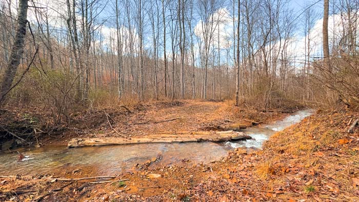 Acreage with multiple food plot locations and wooded cover