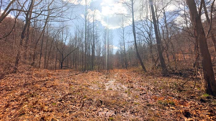 Land suitable for trail systems and outdoor recreation