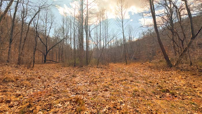 Large tract ideal for hunting farm development in Ohio