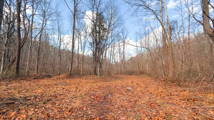 Recreational land with space for hiking and riding trails
