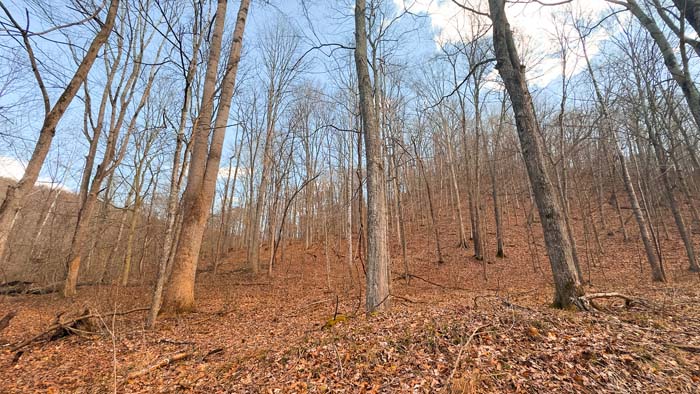 Southern Ohio property with land management potential