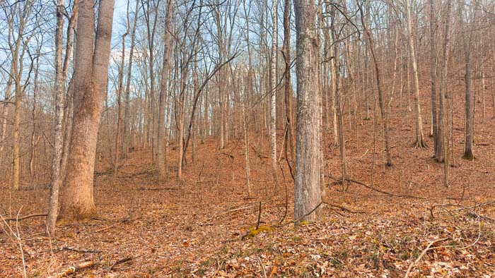 Large Ohio acreage with opportunities for outdoor recreation