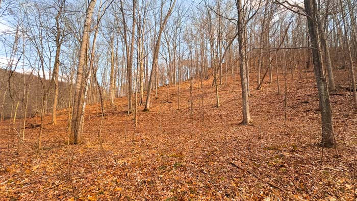 Expansive property with natural terrain for recreation