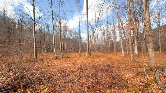 Land suitable for hunting, hiking, and outdoor use