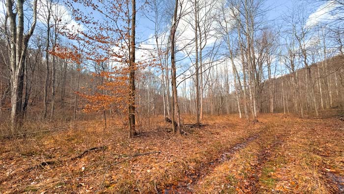 Wooded hillsides with natural benches for deer movement