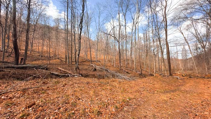 Ohio land with seasonal streams and natural water sources