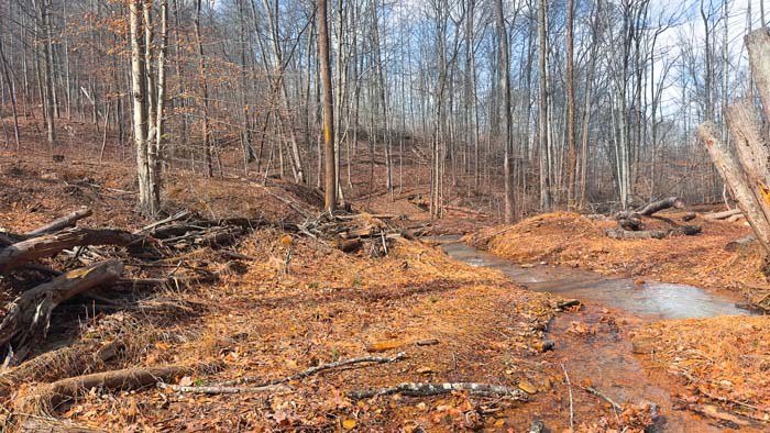 Property with wooded ridges and ideal stand locations