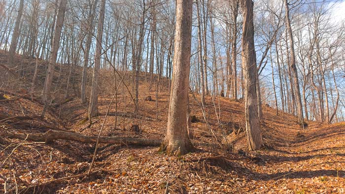 Large wooded tract ideal for recreational and hunting use