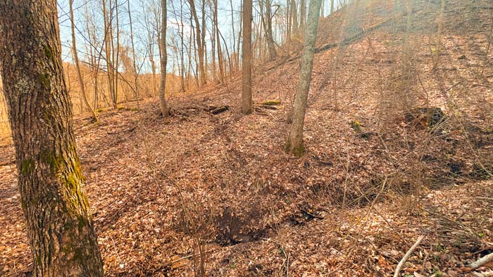 Ohio land for sale with rolling hills and mature timber