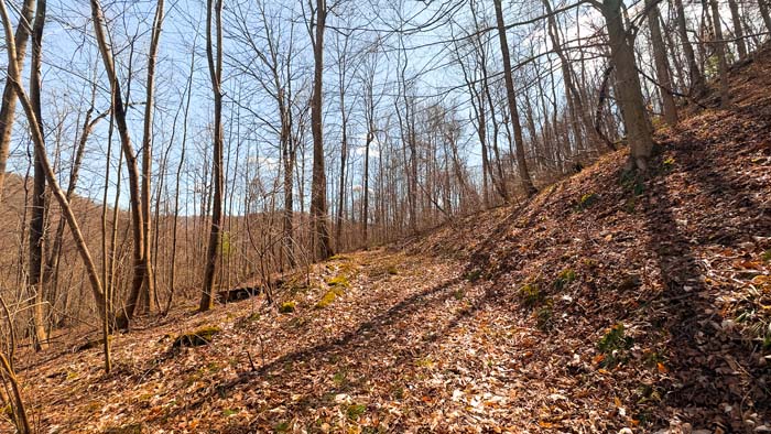 Private hunting property with thick cover and natural terrain