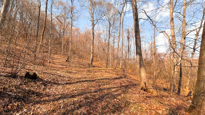 Southern Ohio acreage with strong deer habitat and travel corridors