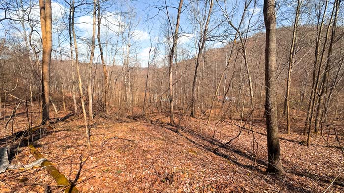 Recreational land with wooded ridges and secluded valleys