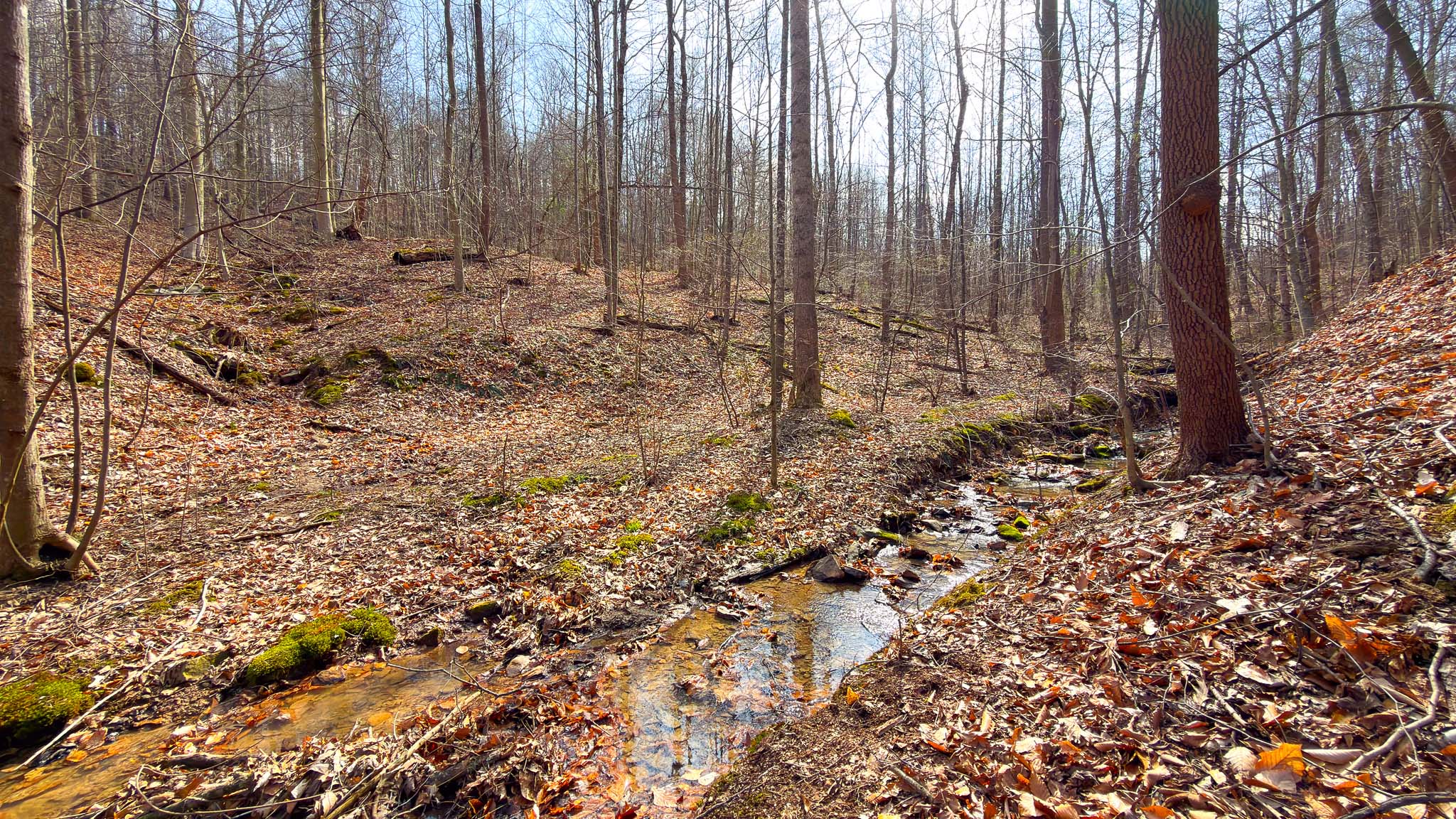 Road frontage along property