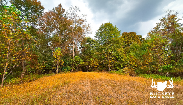 0 Millstone Road, Minford, OH 45653 40+/- Acres