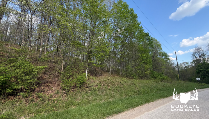 14+/- Acres, Wilkesville, Ohio