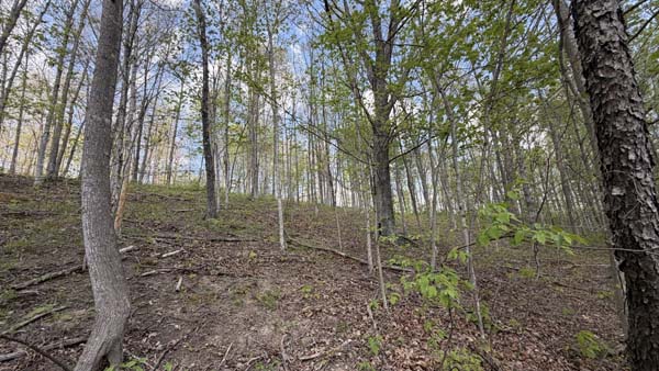 Wooded hillside with potential building locations