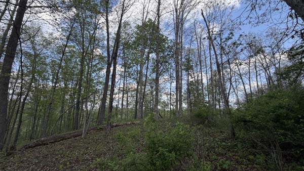 Southern Ohio land with wildlife and hunting potential