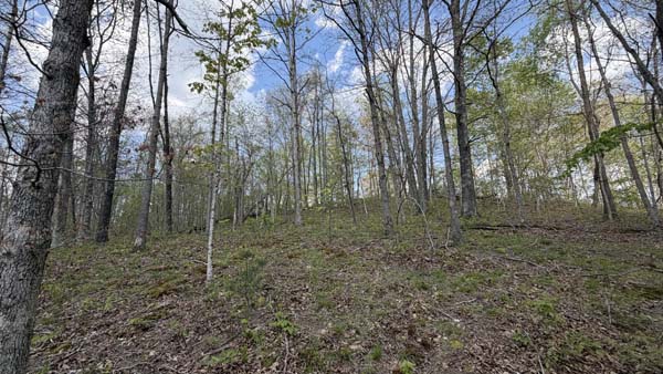 14 acre property with mature trees and natural landscape