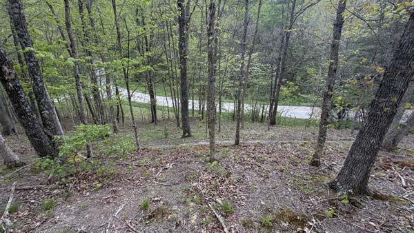 Southern Ohio wooded acreage with potential build site