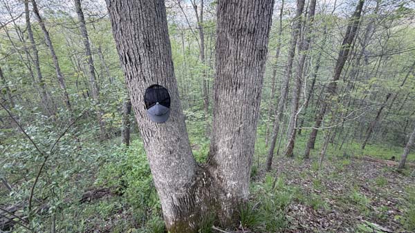 Wooded acreage near Vinton Furnace State Forest