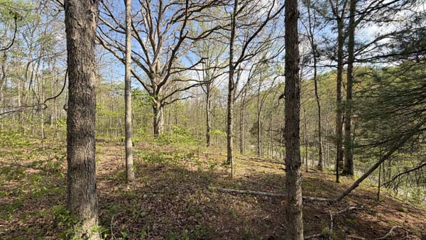 Private land with mixed terrain and tree cover