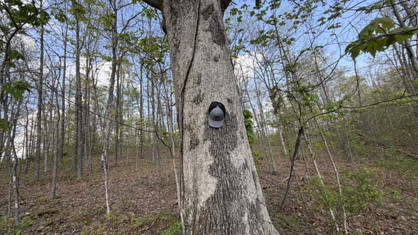 Ohio recreational land with natural surroundings