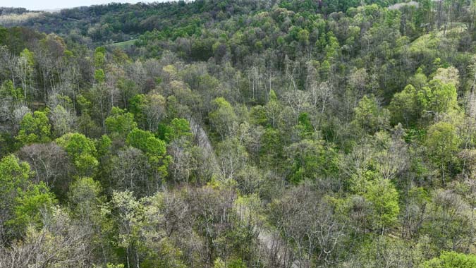 14-acre Ohio hunting tract with established trail system
