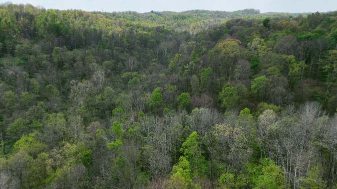 Food plot on Noble County Ohio hunting land