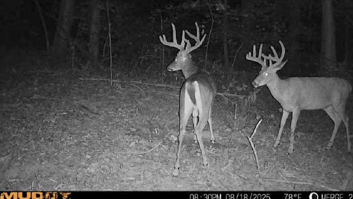 20 acres Scioto County Ohio land