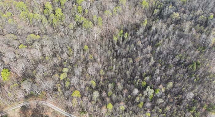 Turkey hunting land Scioto County
