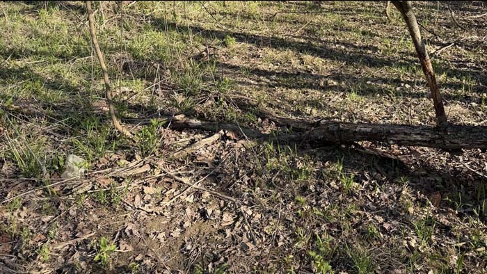 Ohio hunting land with open corridor