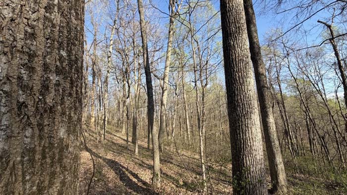Country land near Minford Ohio