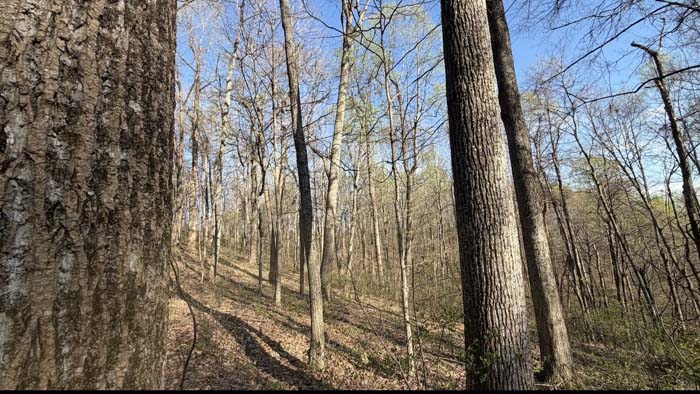 Secluded ridge top homesite Ohio
