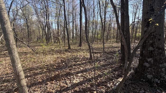 Scenic Ohio land with rolling terrain