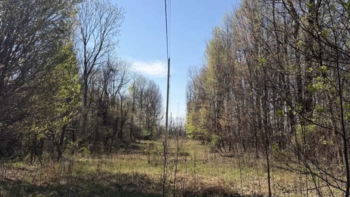 20 acre wooded tract Ohio for sale