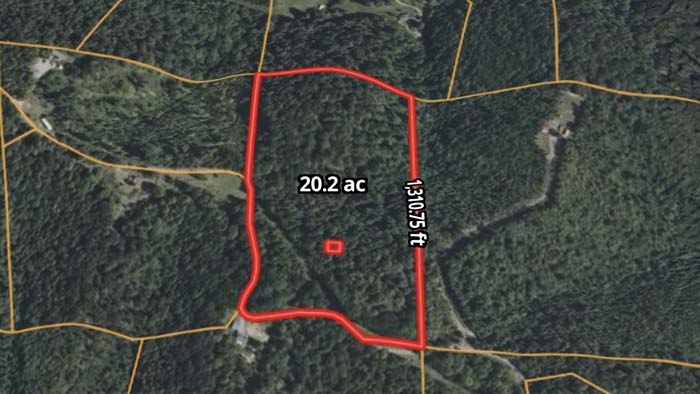 Potential build site wooded acreage