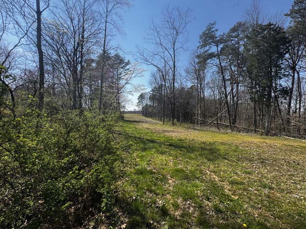 Additional wildlife movement on property