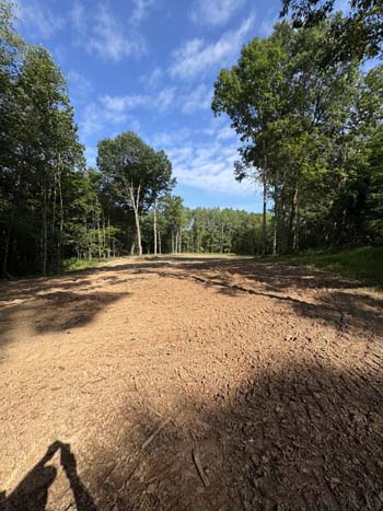 Wooded entrance to secluded acreage