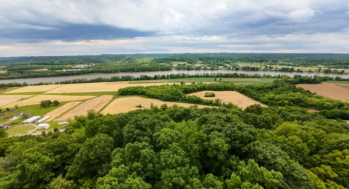 wooded hillside on property