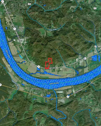 mature timber investment land
