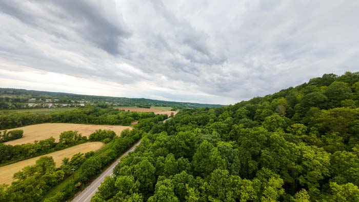bird’s-eye view of treetops
