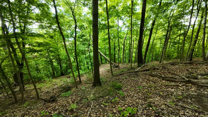 overview of 22.7-acre tract