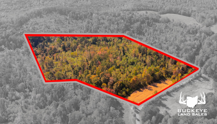 0 Oppy Hill Road, Otway, OH 45657 15+/- Acres