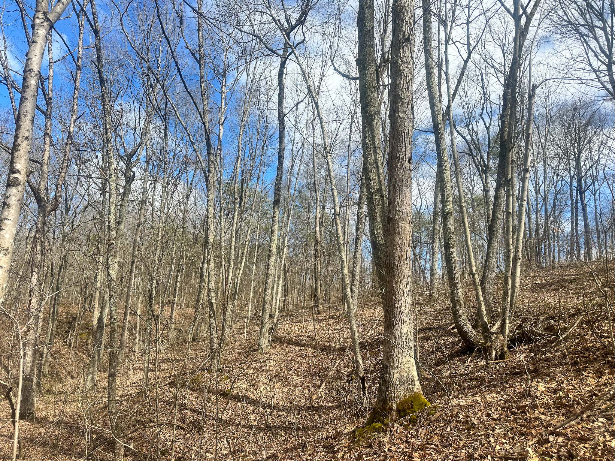 Seasonal water feature on hillside tract