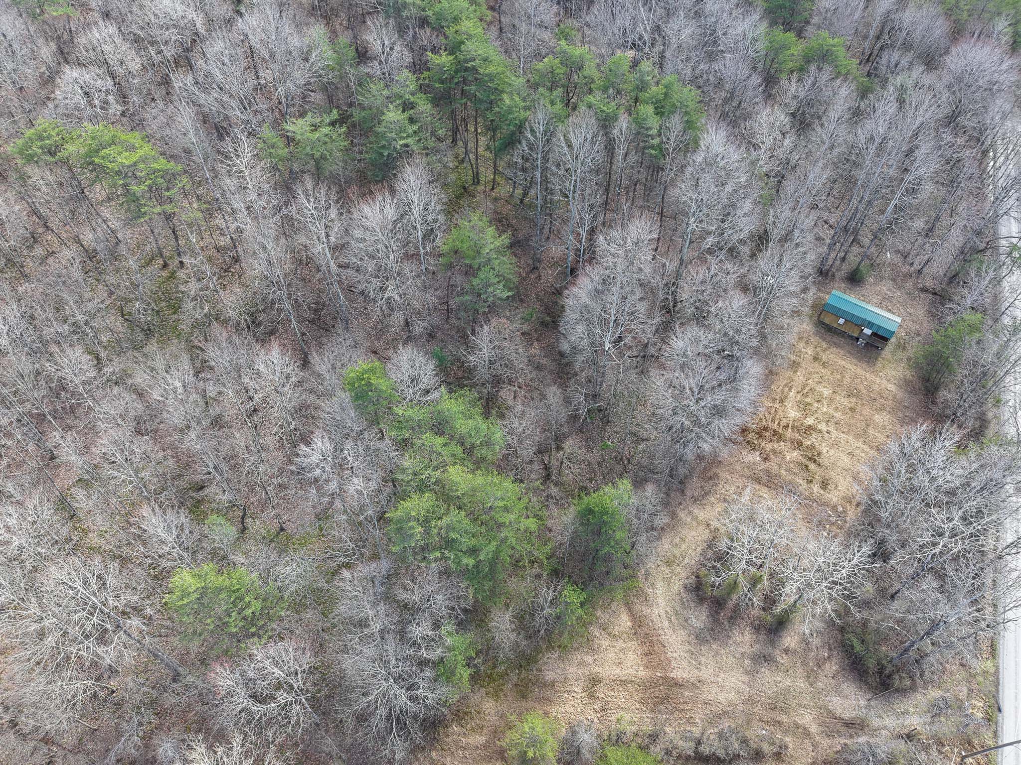 Wooded acreage with cabin and yard