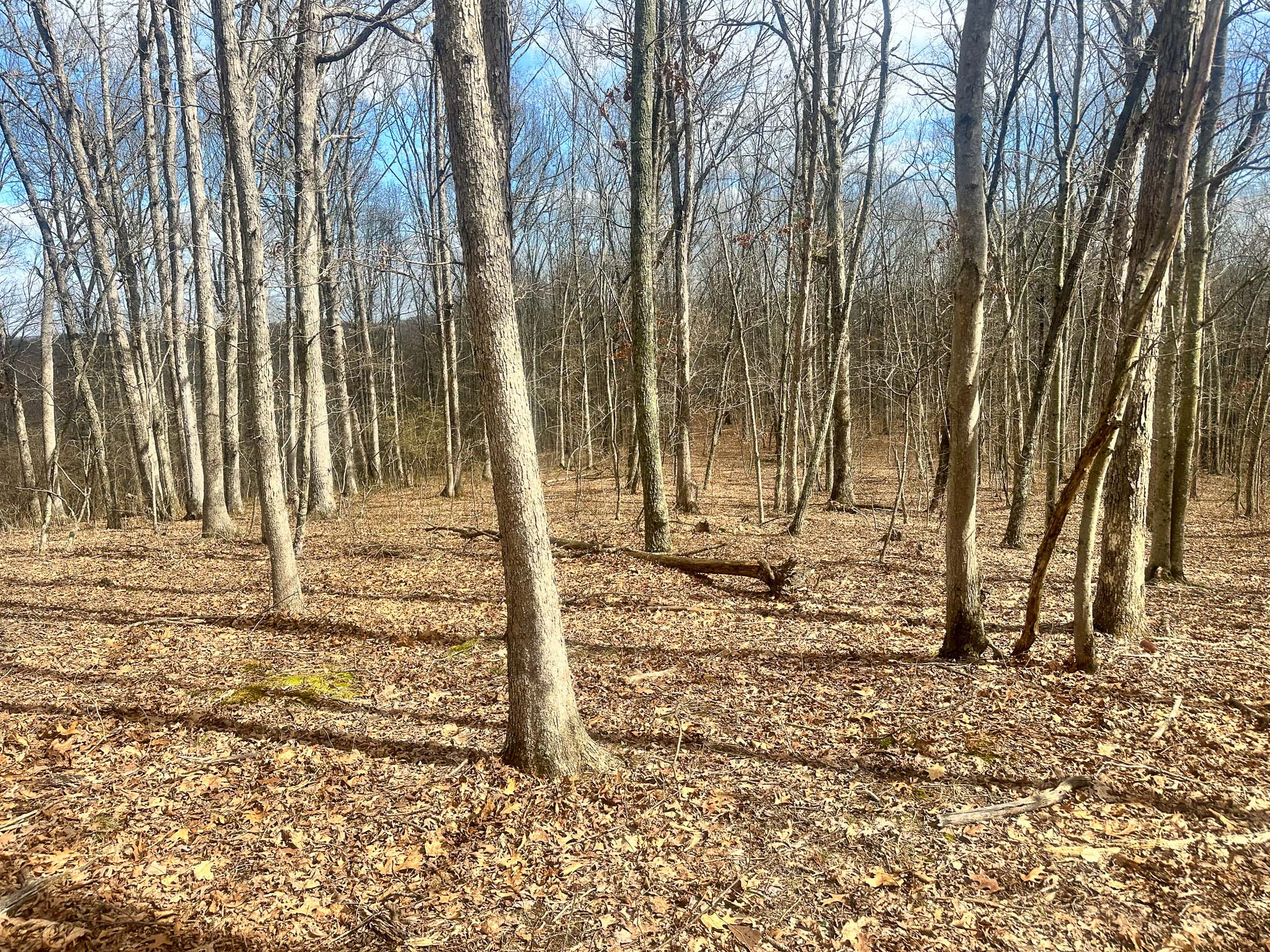 Private access toward national forest land