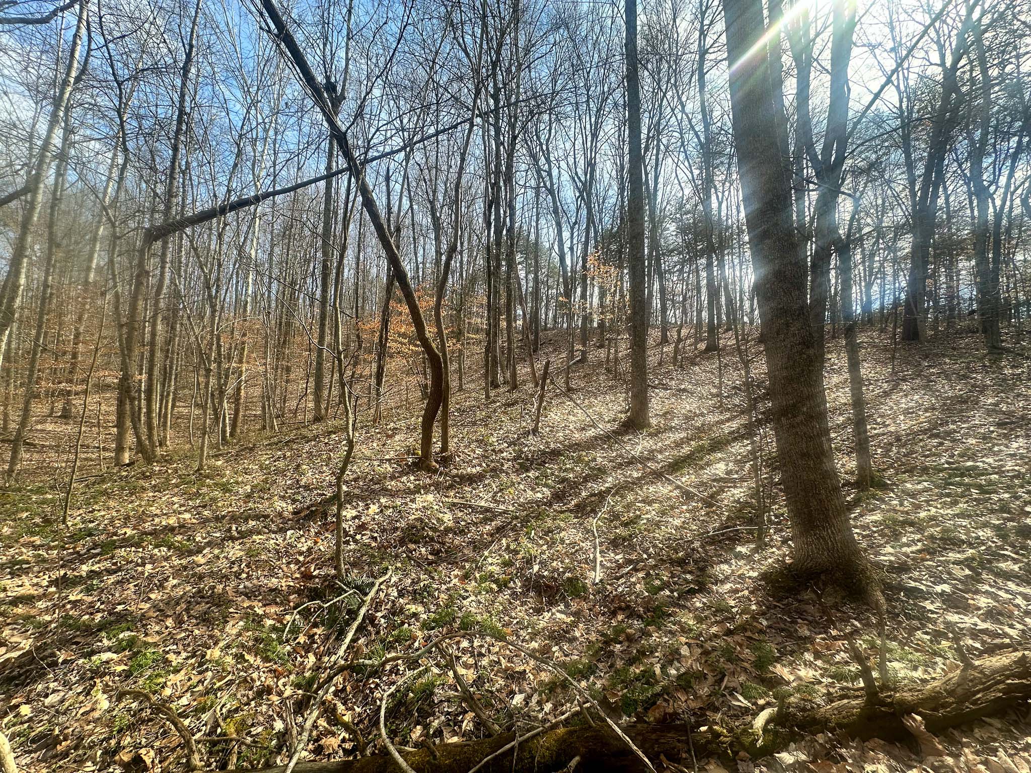 Hunting retreat setting in Gallia County
