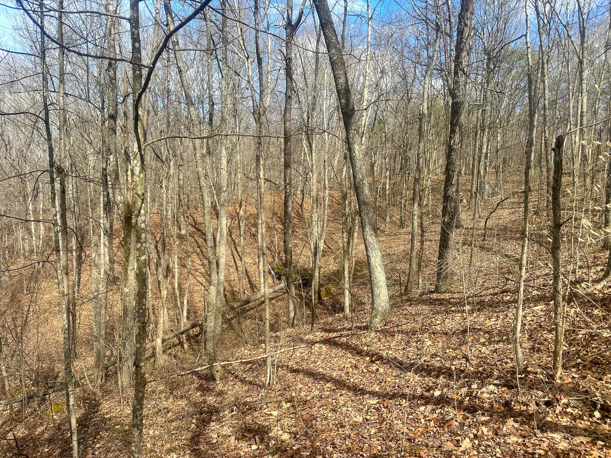 Wooded land suited for weekend getaway