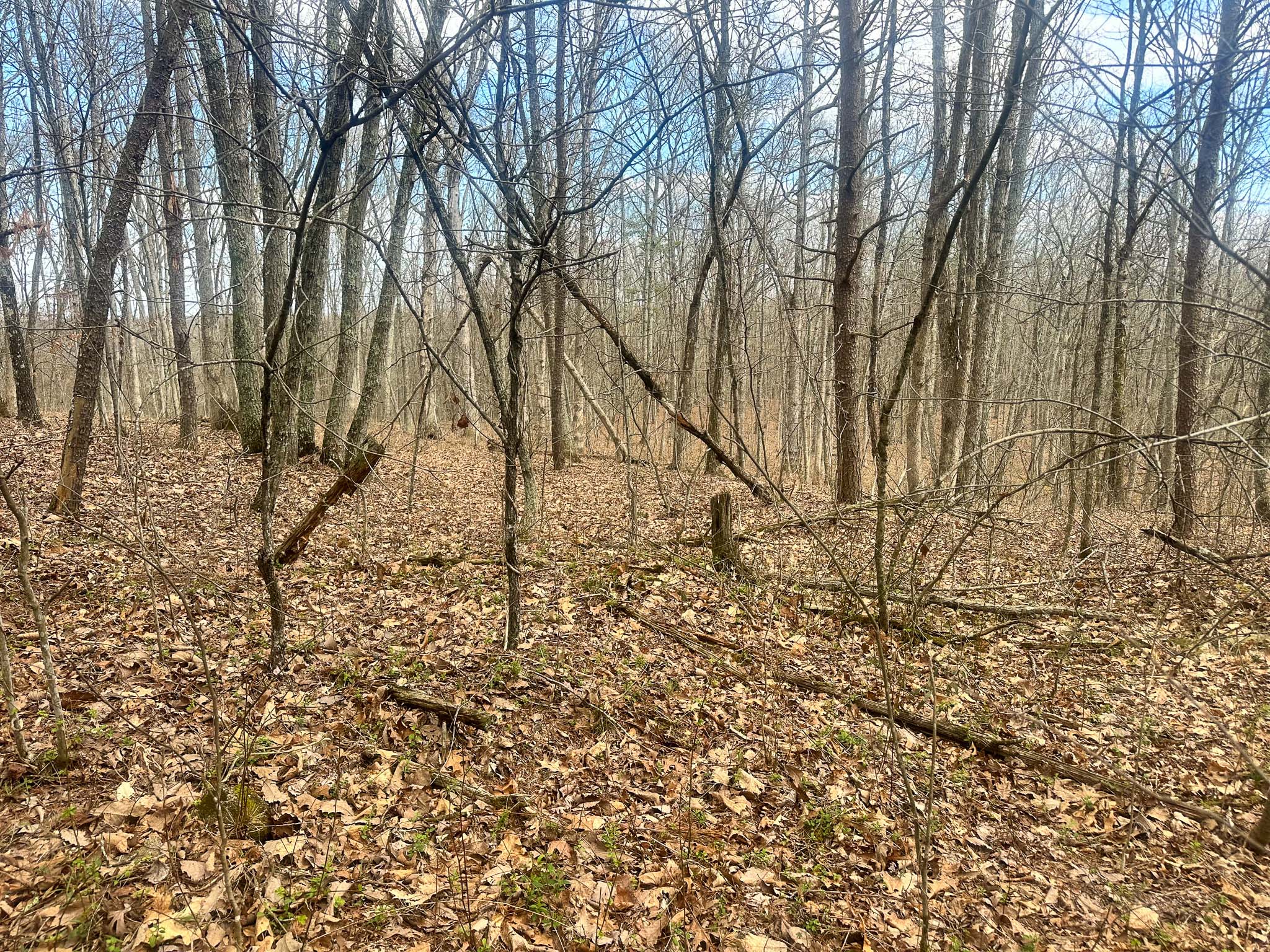 Southern Ohio land with natural character